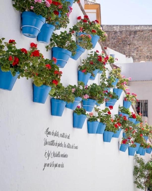 Jardines Del Mar ,casa Apolonia Apartemen *